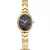 Bering Classic montre femme 11020-732