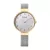 Bering montre femme 12034-010