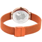 Bering Classic montre femme 14531-565