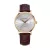Doxa montre pour hommes 171.30.021.02