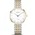Bering Titanium montre femme 19334-010