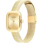 Calvin Klein Adore montre femme CK25100099