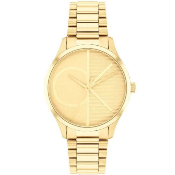 Calvin Klein Iconic montre femme CK25200346
