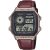 Casio Collection montre pour hommes AE-1200WHL-5AVEF