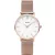 Cluse Minuit montre femme CW0101203001