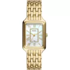 Fossil Raquel montre femme ES5304