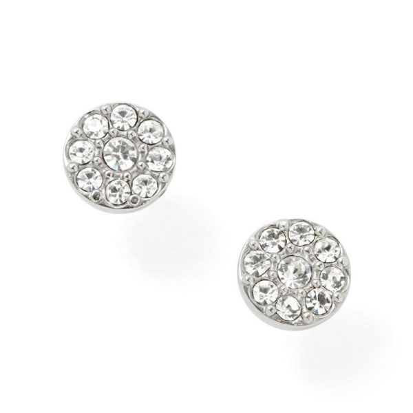 Fossil femelle des boucles d'oreilles JF00828040