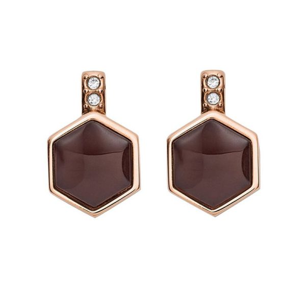 Fossil femelle des boucles d'oreilles JF03059791