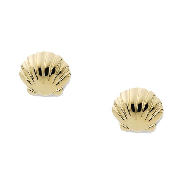 Fossil femelle des boucles d'oreilles JF04058710