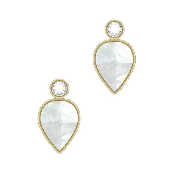 Fossil femelle des boucles d'oreilles JF04249710