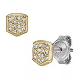 Fossil femelle des boucles d'oreilles JF04532710