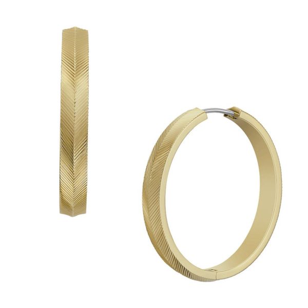 Fossil femelle des boucles d'oreilles JF04538710