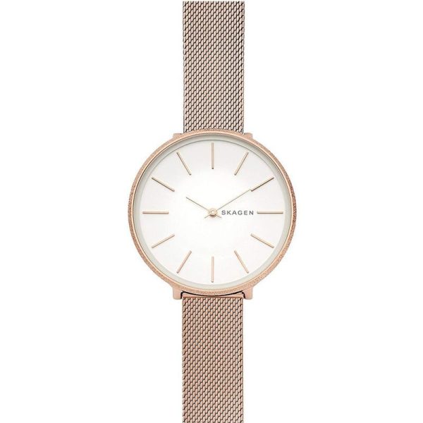 Skagen Karolina montre femme SKW2726