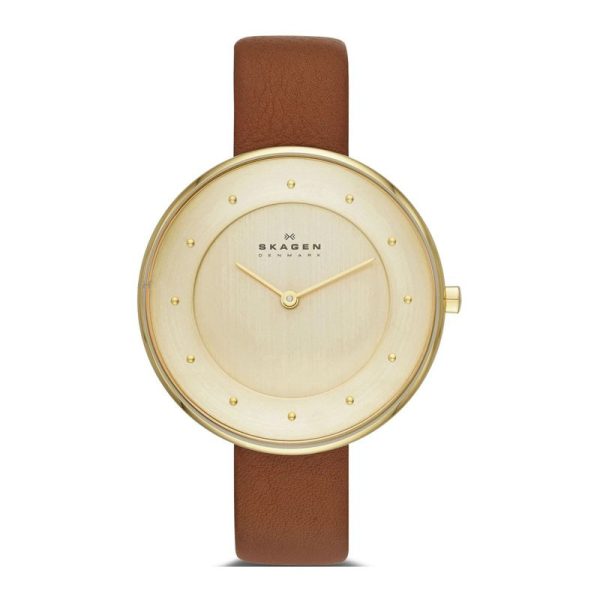 Skagen montre femme SKW2138